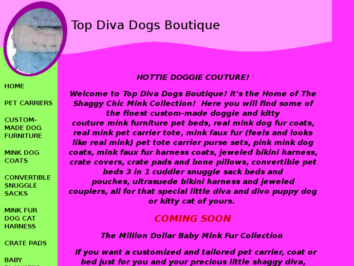 www.topdivadogs.com