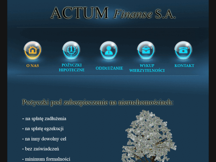 www.actum-finanse.pl