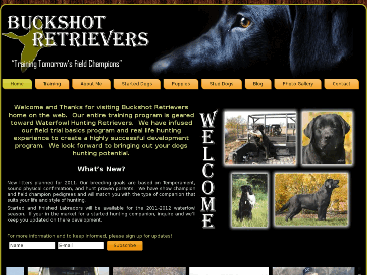 www.buckshotretrievers.com