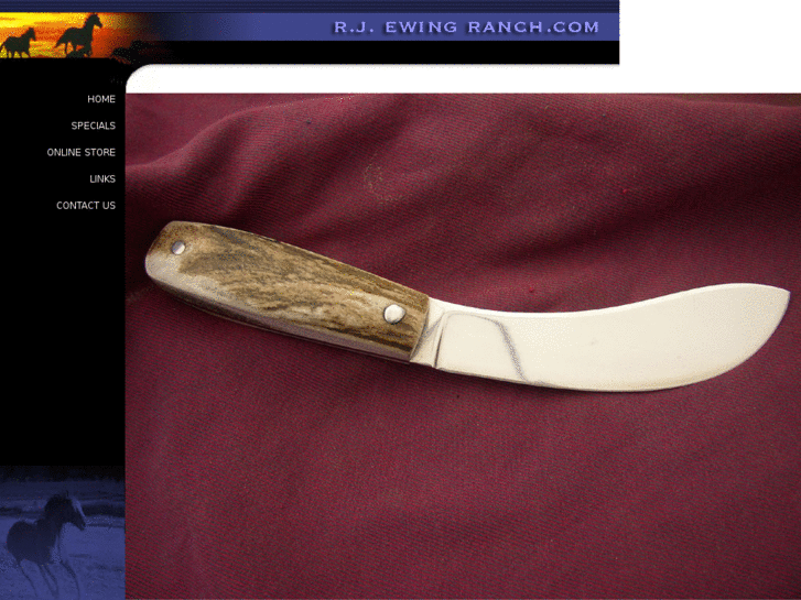 www.customknivesbyrje.com