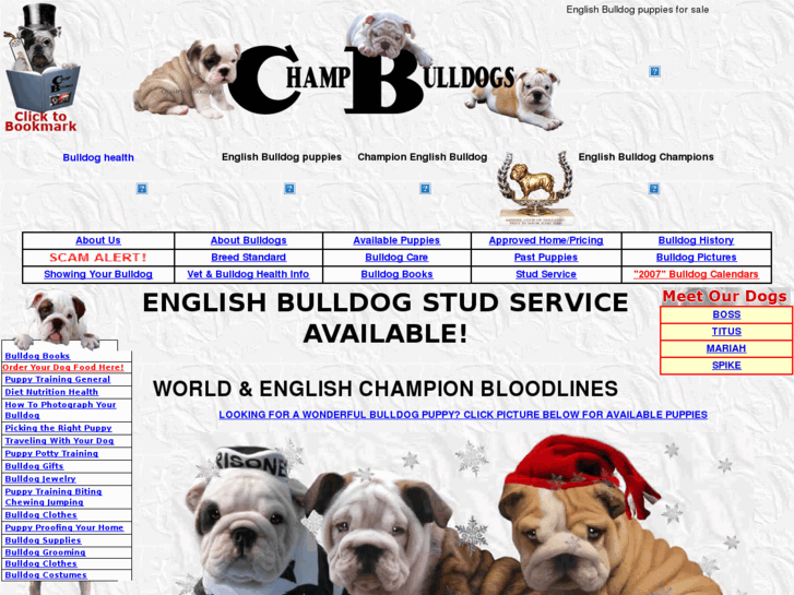 www.english-bulldog-stud-service.com