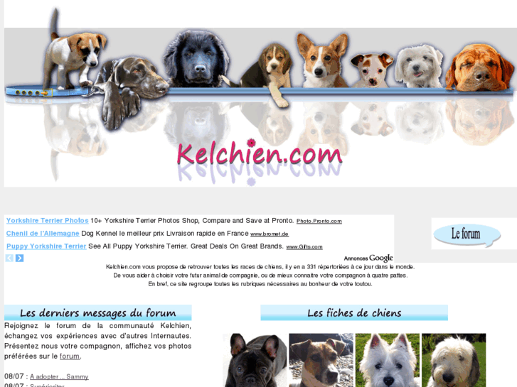 www.kelchien.com