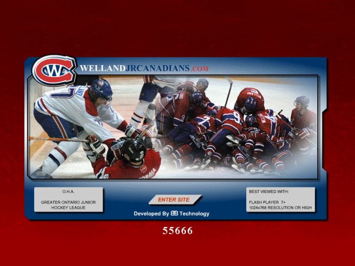 www.wellandjrcanadians.com