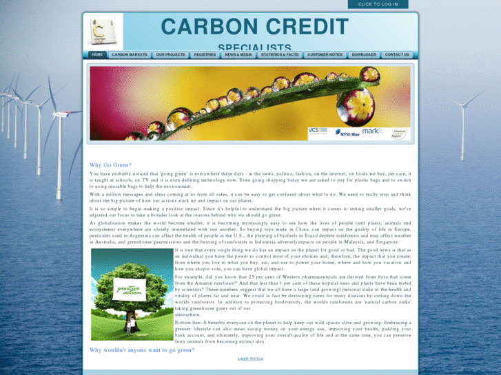 www.carboncreditspecialists.com