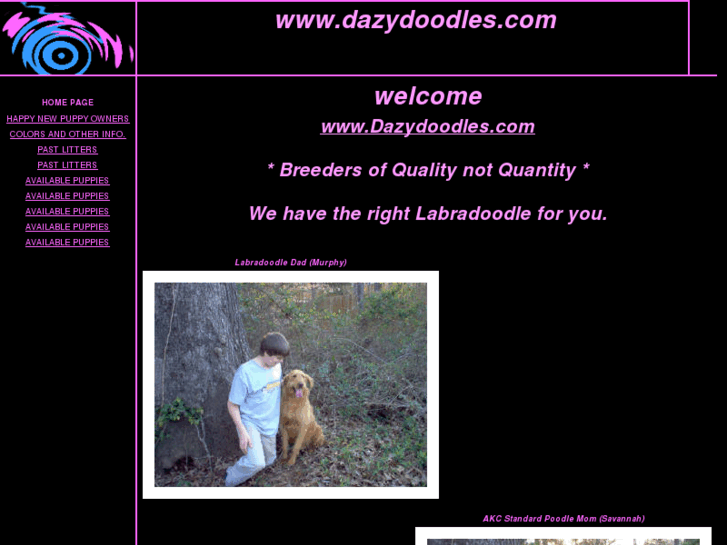 www.dazydoodles.com