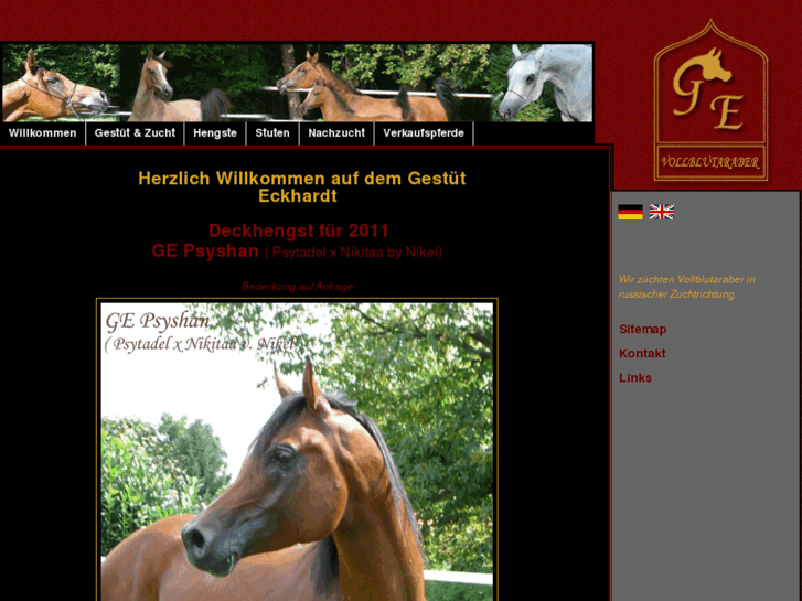 www.eckhardt-arabians.com