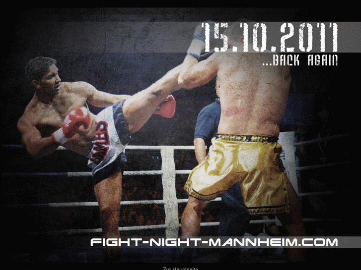 www.fight-night-mannheim.info