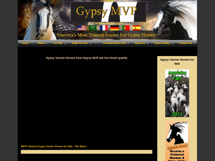 www.gypsymvp.com