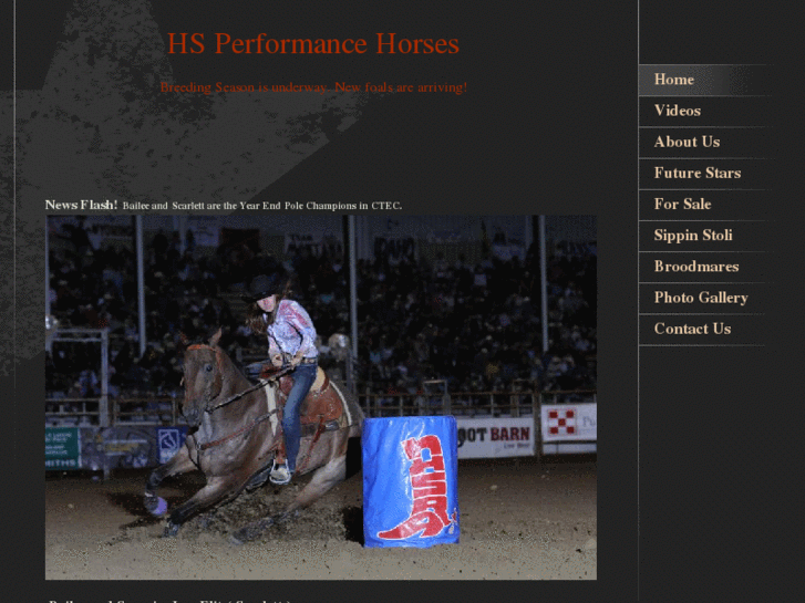 www.hsbarrelhorses.com