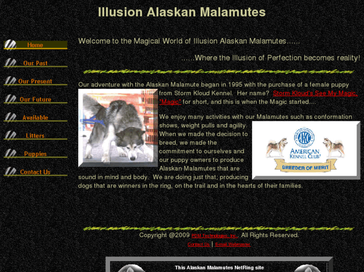 www.illusionmalamutes.com