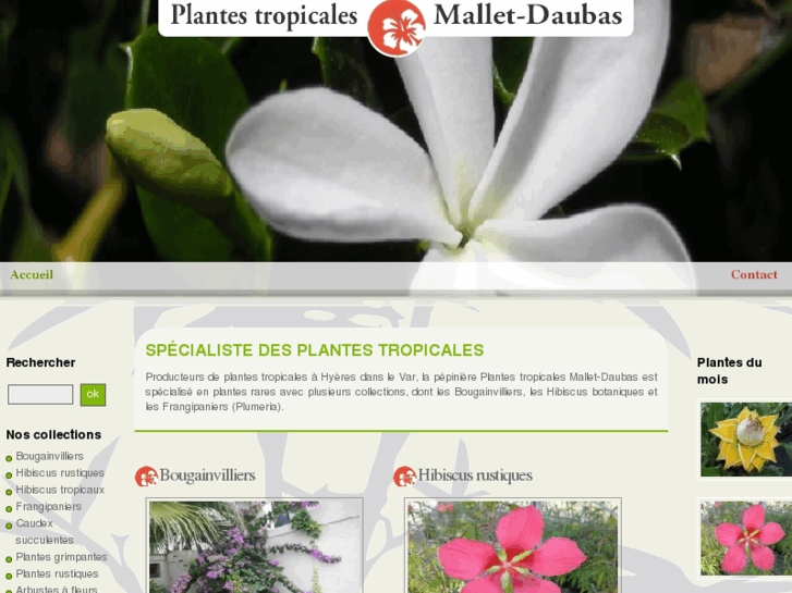 www.plantes-tropicales.com