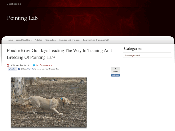 www.pointinglab.org