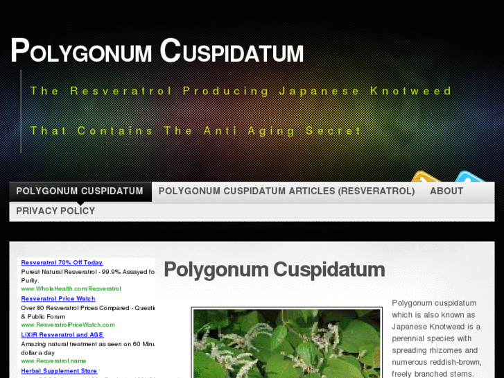 www.polygonum-cuspidatum.com