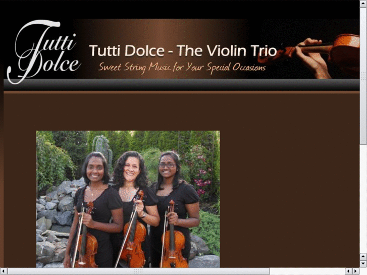 www.theviolintrio.com