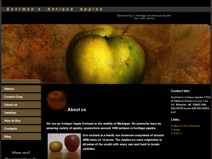 www.eastmansantiqueapples.com