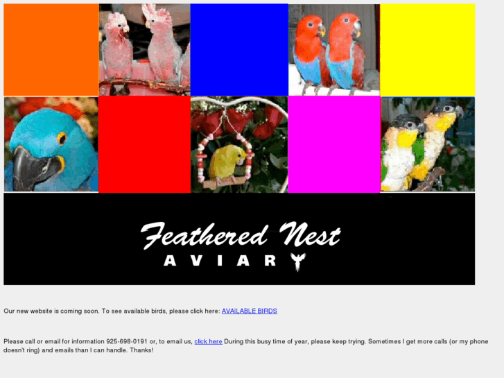 www.feathered-nest.com