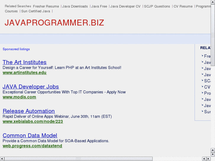 www.javaprogrammer.biz