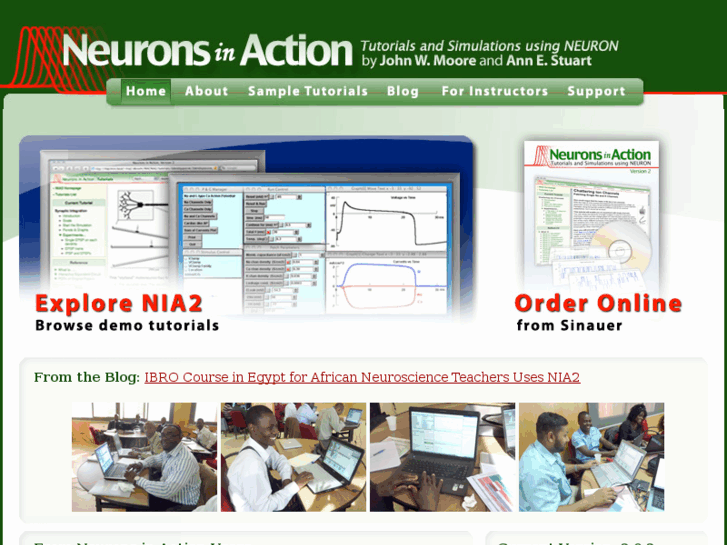 www.neuronsinaction.com