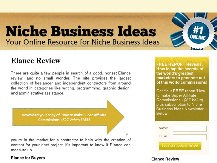 www.nichebusinessideas.org