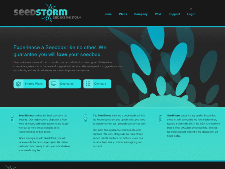 www.seedstorm.com