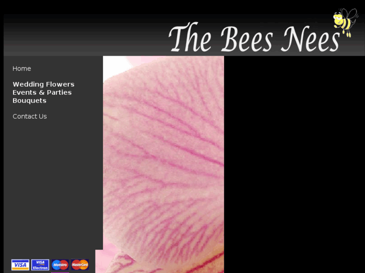 www.thebeesnees.co.uk