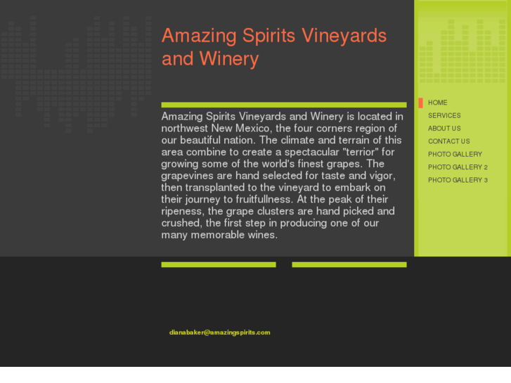 www.amazingspirits.com