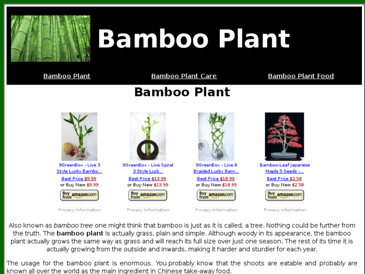 www.bamboo-plant.info