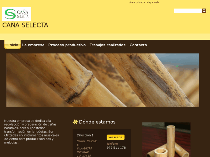 www.cselecta.com