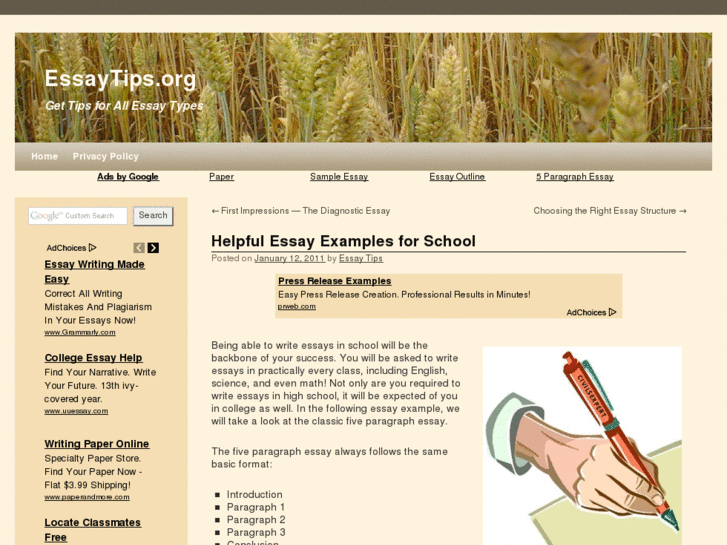 www.essayexamples.net
