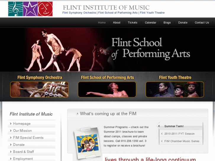 www.flintinstituteofmusic.com