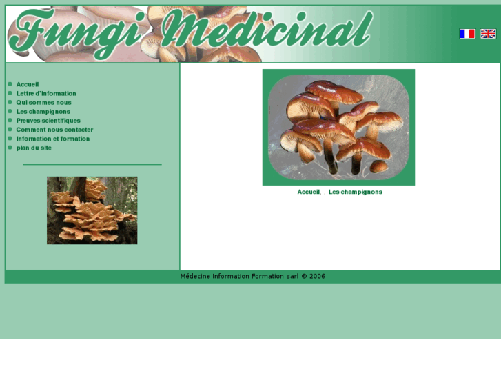 www.fungimedicinal.com