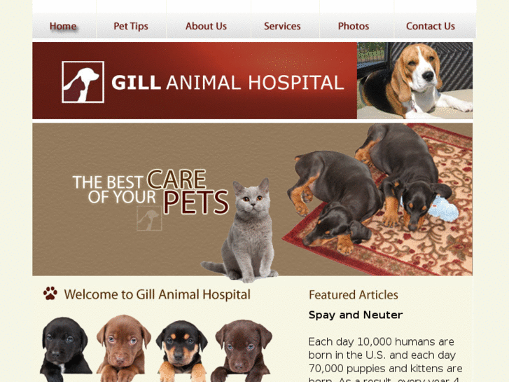 www.gillanimalhospital.com