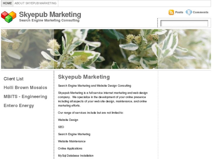 www.skyepubmarketing.com