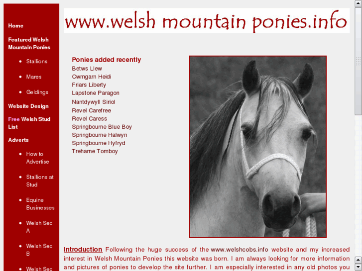 www.welshmountainponies.info