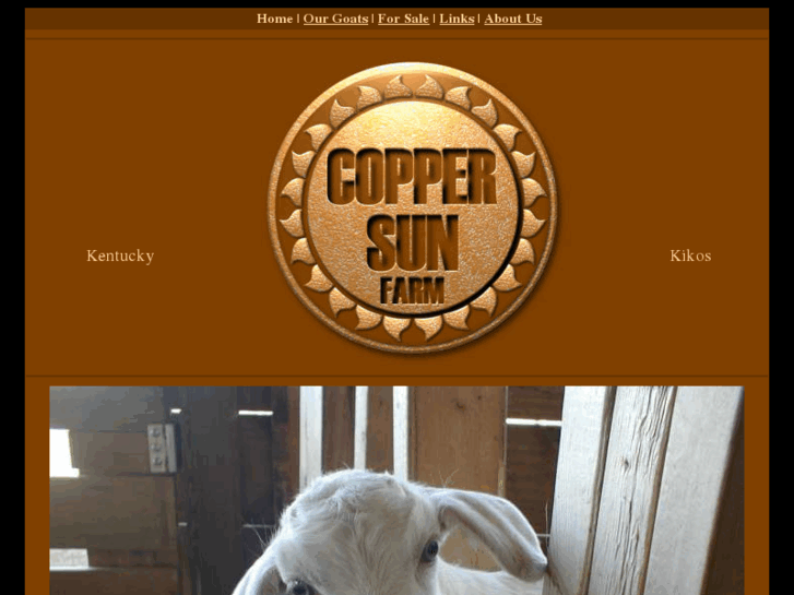 www.coppersunfarm.com