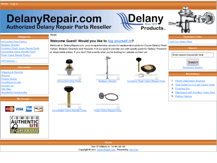 www.delanyrepair.com