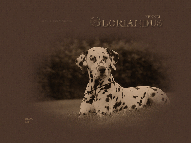 www.gloriandus.com