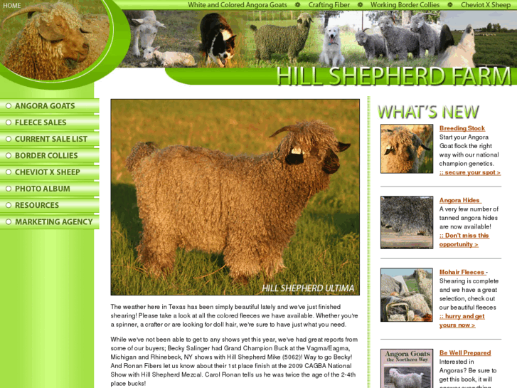 www.hillshepherd.com