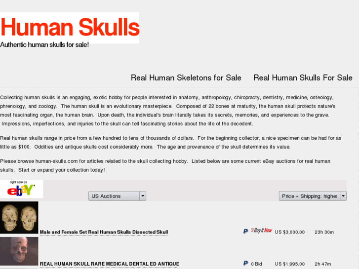 www.human-skulls.com