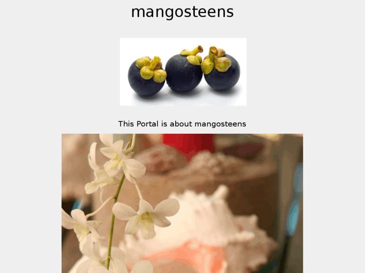 www.mangosteens.info