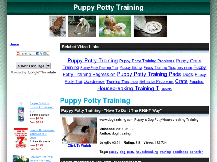 www.pettrainingvideo.com