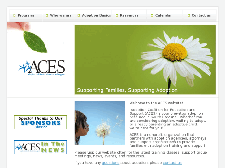 www.aceskids.org