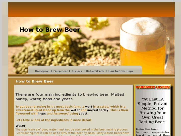 www.howto-brew-beer.com