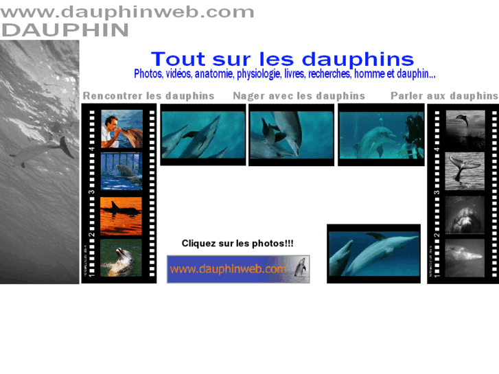 www.dauphinweb.com