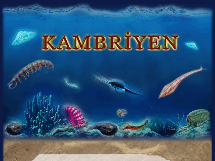 www.kambriyenvedarwin.com