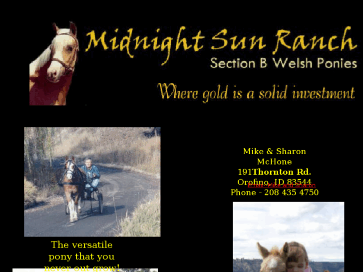 www.midnightsunwelshponies.com