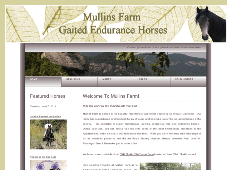 www.mullinsfarm.com