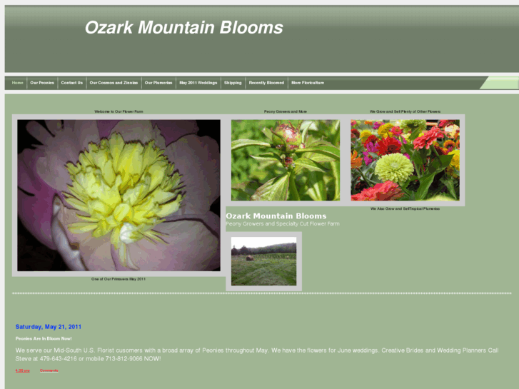 www.ozarkmountainblooms.com