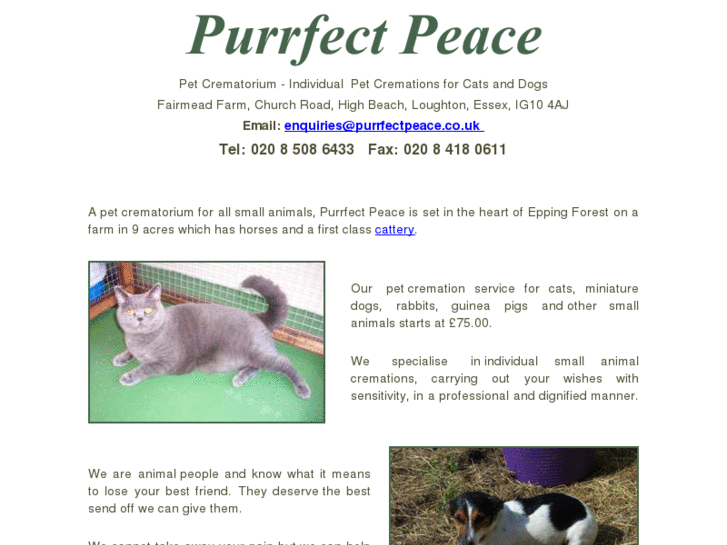 www.purrfectpeace.co.uk