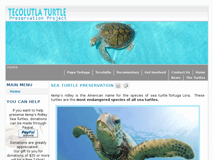 www.tecolutla-turtle-preservation-project.org